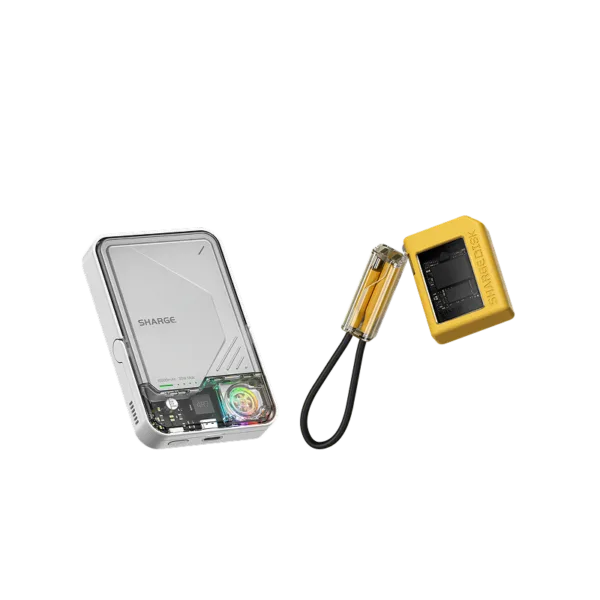 ICEMAG 2+ Disk